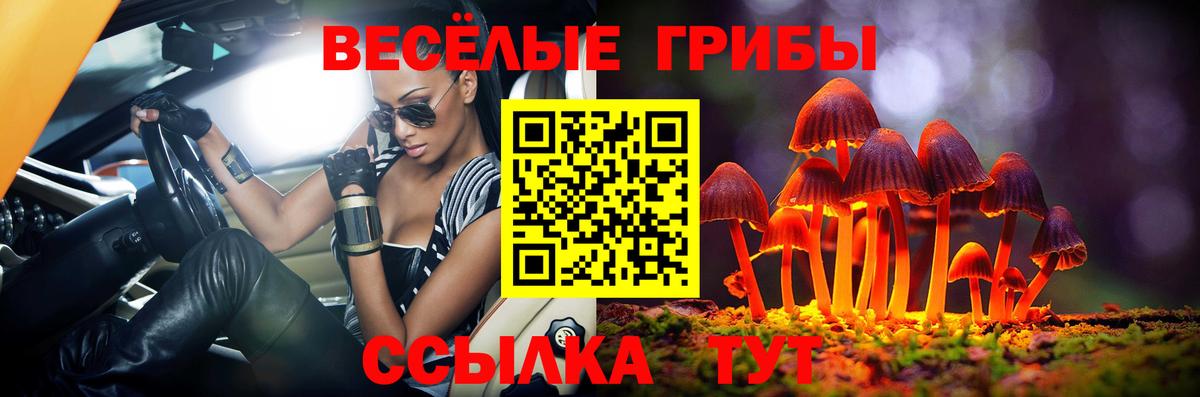 Унеча  Псилоцибиновые грибы Cubensis  Вход с VPN  Галлюциногенные грибы MAGIC MUSHROOMS 